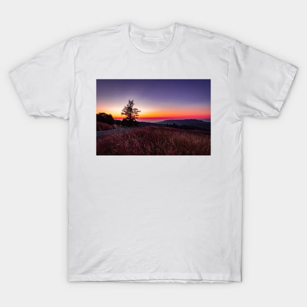 Road in Kneeland T-Shirt by blossomcophoto